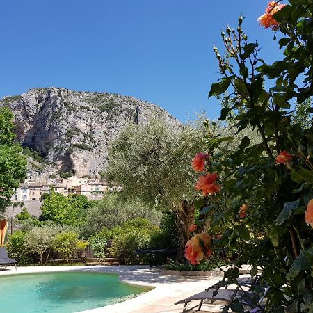 무스티에생마리 Bastide Des Oliviers B&B 외부 사진