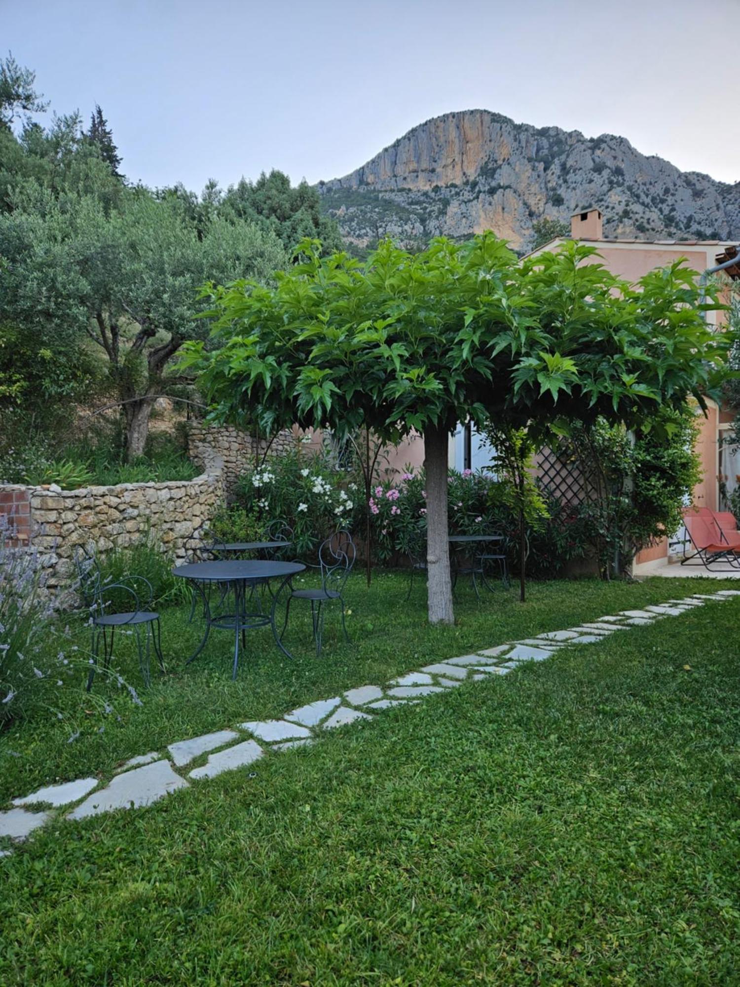 무스티에생마리 Bastide Des Oliviers B&B 외부 사진